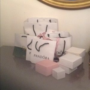 Pandora Shopping Bags